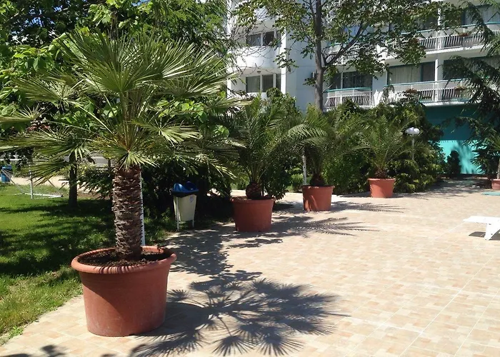 Zefir Słoneczny Brzeg